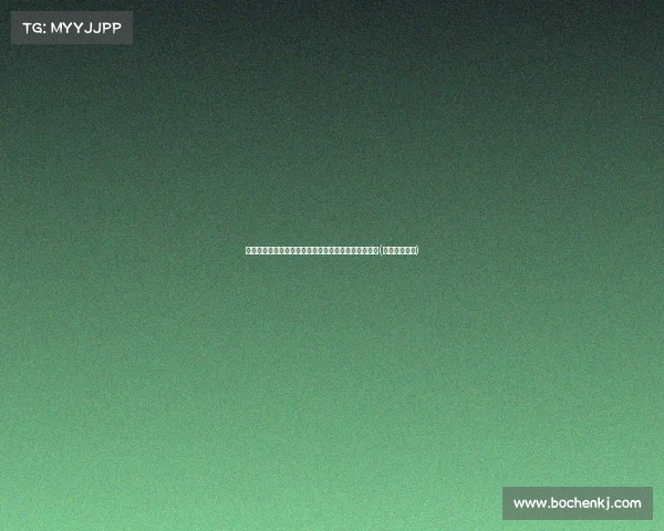 阿尔马达加盟博塔弗戈，将转会至里昂，转会费为欧元(阿尔马达集锦)